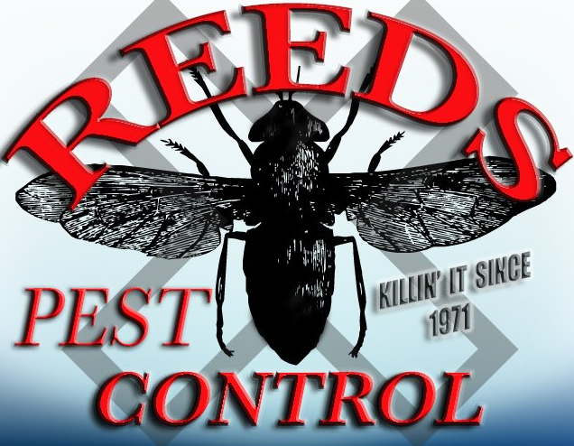 Reeds Pest Control